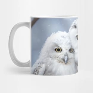 Owl Animal Bird Beauty Freedom Wilderness Enchanting Mug